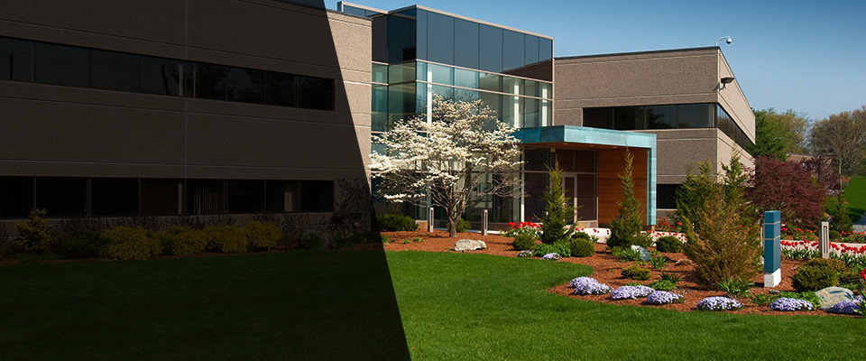 Rohnert Park Landscapers