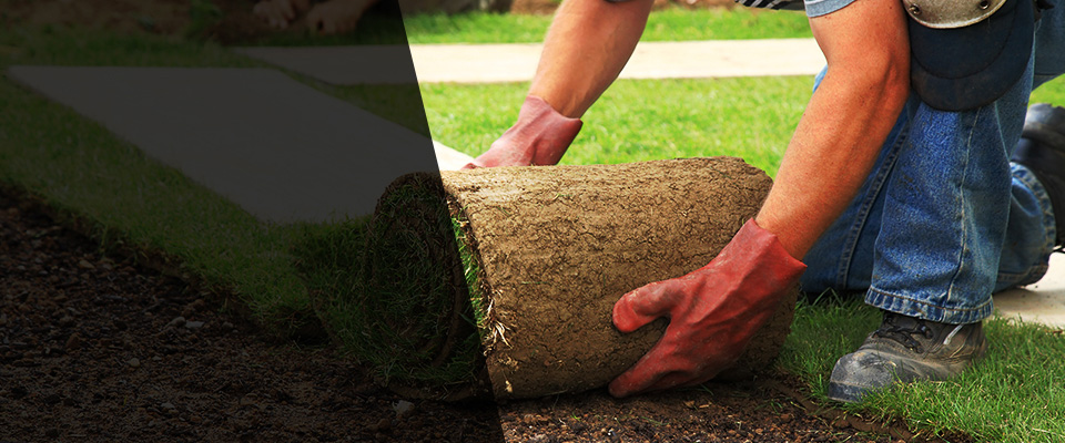 Rohnert Park Landscapers